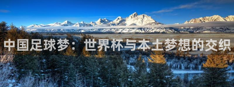 2026世界杯赛程：中国足球梦：世界杯与本土梦想的交织