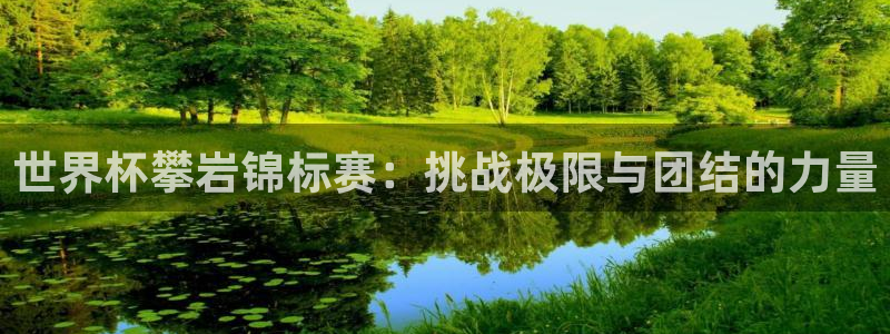 世界杯预选赛：世界杯攀岩锦标赛：挑战极限与团结的力量