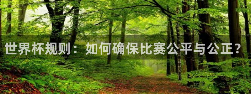 2026世界杯赛程时间表最新：世界杯规则：如何确保比赛公平与公正？