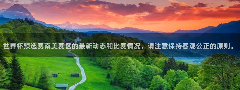 足球世预赛：世界杯预选赛南美赛区的最新动态和比赛情况，请注意保持客观公正的原则。