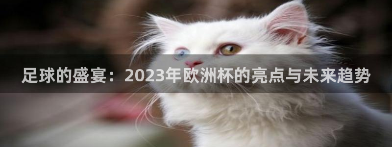 2026年世界杯：足球的盛宴：2023年欧洲杯的亮点与未来趋势