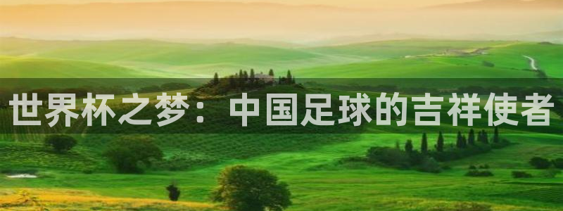 欧联杯直播：世界杯之梦：中国足球的吉祥使者