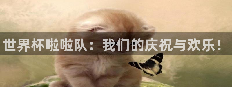 世界杯足球2026：世界杯啦啦队：我们的庆祝与欢乐！