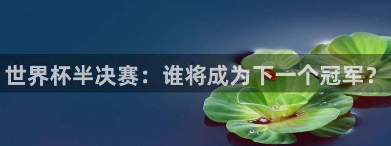 2026世界杯亚洲区预选赛赛程：世界杯半决赛：谁将成为下一个冠军？