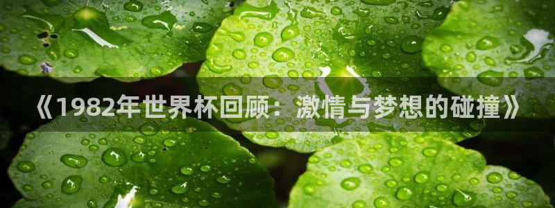 世界杯2026赛程表：《1982年世界杯回顾：激情与梦想的碰撞》