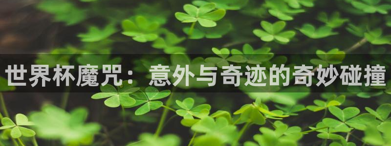 世界杯系列赛：世界杯魔咒：意外与奇迹的奇妙碰撞
