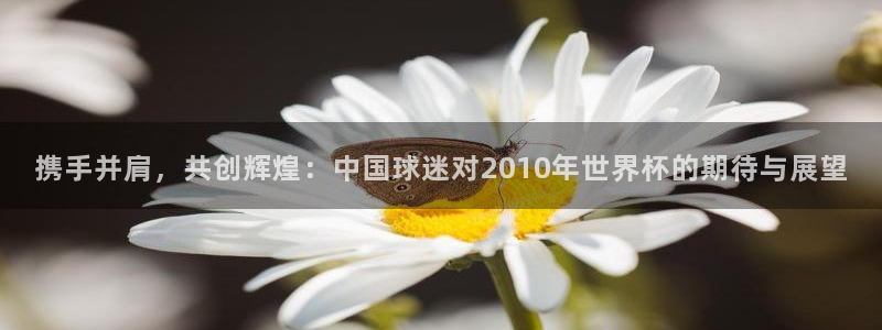 2026世界杯预选赛：携手并肩，共创辉煌：中国球迷对2010年世界杯的期待与展望
