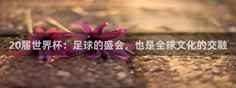 世界杯预选赛排名：20届世界杯：足球的盛会，也是全球文化的交融