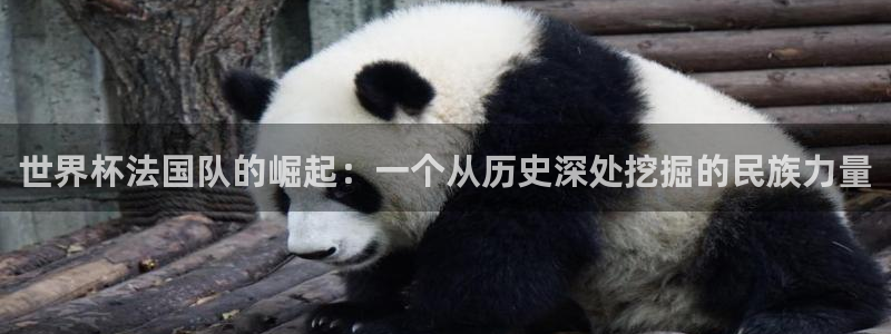 足球世界杯赛程：世界杯法国队的崛起：一个从历史深处挖掘的民族力量