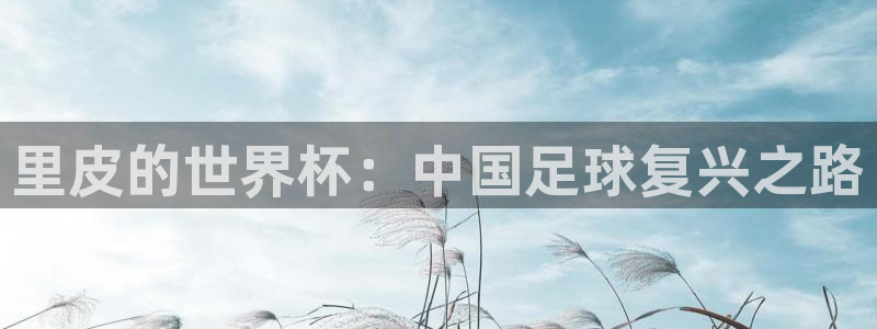 世界杯比赛时间：里皮的世界杯：中国足球复兴之路