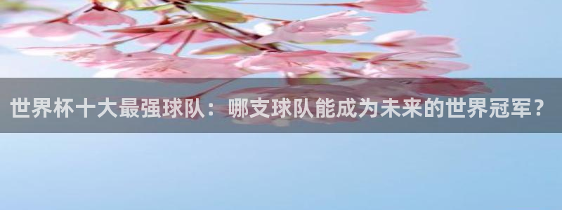 世界直播：世界杯十大最强球队：哪支球队能成为未来的世界冠军？