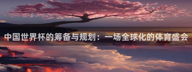 世界杯赛程表2026：中国世界杯的筹备与规划：一场全球化的体育盛会