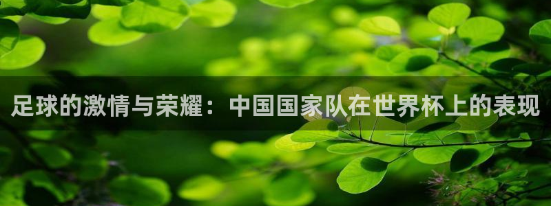 澳门世界杯直播：足球的激情与荣耀：中国国家队在世界杯上的表现