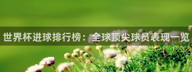 世界杯直播网站：世界杯进球排行榜：全球顶尖球员表现一览